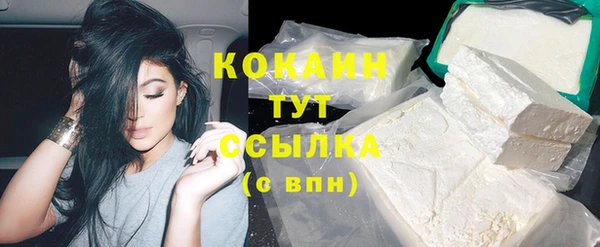 PSILOCYBIN Ельня