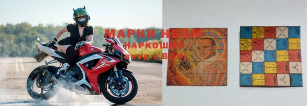 мяу мяу мука Елабуга