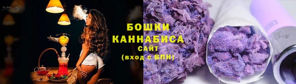 PSILOCYBIN Ельня
