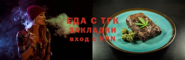 PSILOCYBIN Ельня