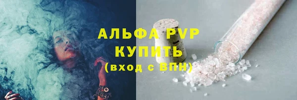 PSILOCYBIN Ельня