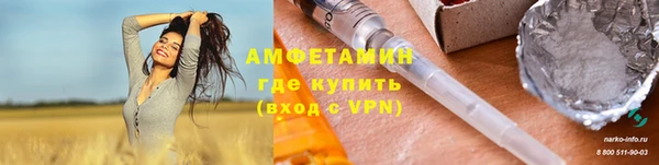 PSILOCYBIN Ельня
