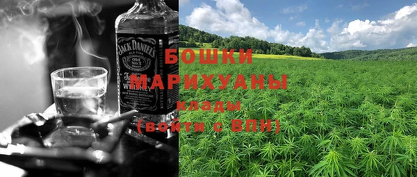 PSILOCYBIN Ельня