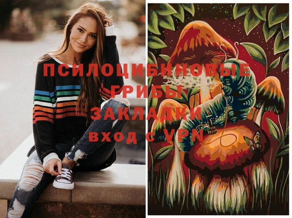 PSILOCYBIN Ельня