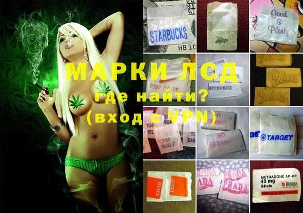 мяу мяу мука Елабуга