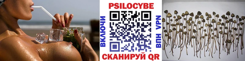 Купить где  Железноводск  Галлюциногенные грибы GOLDEN TEACHER 